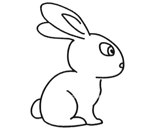 6款小兔子的简笔画大全