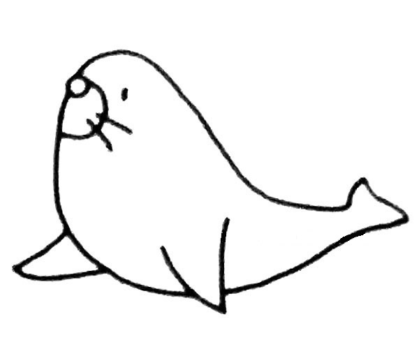 线条简单的海狮简笔画