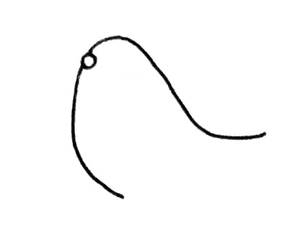 线条简单的海狮简笔画