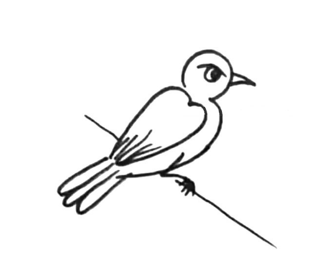 2张关于小鸟的简笔画