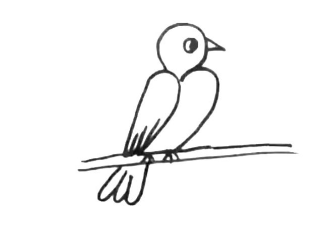 2张关于小鸟的简笔画