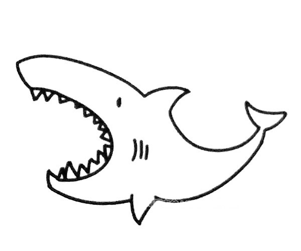 6款卡通鲨鱼简笔画大全
