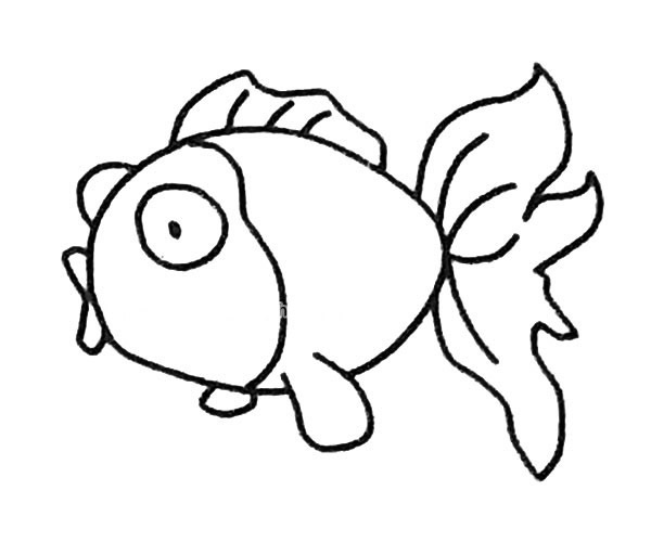 儿童学画金鱼简笔画步骤