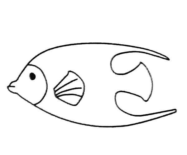 神仙鱼的简单画法