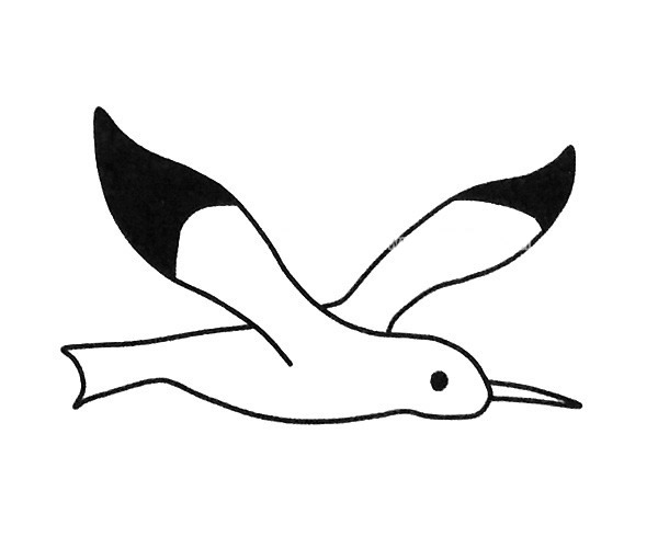 飞翔的海鸥简笔画