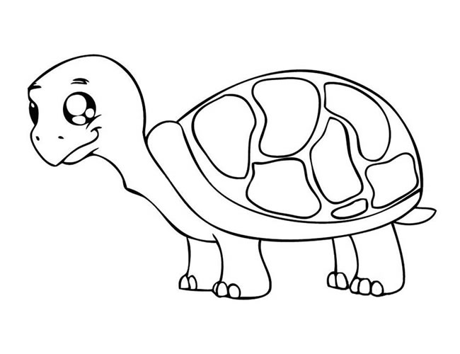 可爱的乌龟宝宝简笔画