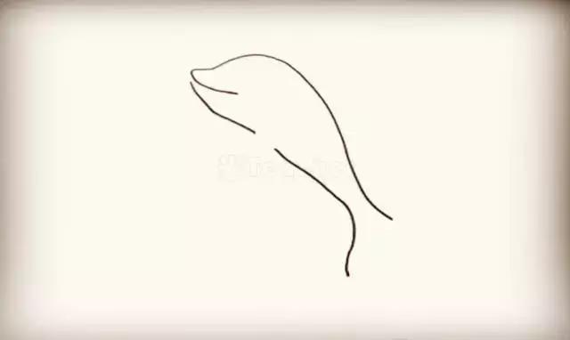 跳出水面的可爱海豚简笔画