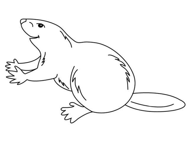 土拨鼠怎么画 土拨鼠儿童简笔画