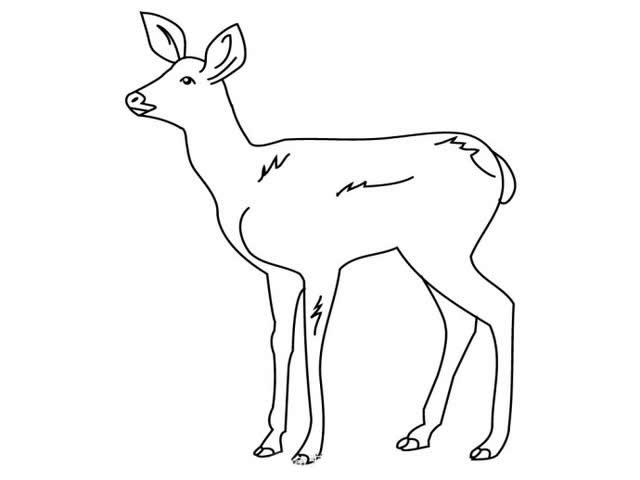 关于小鹿的儿童简笔画