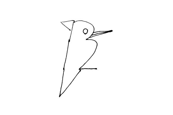 教你用数字画一只啄木鸟
