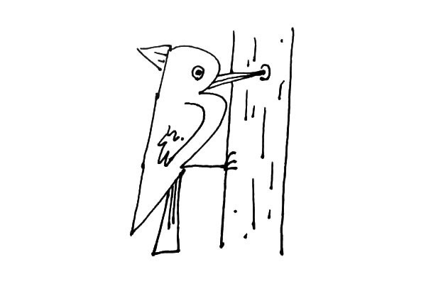 教你用数字画一只啄木鸟