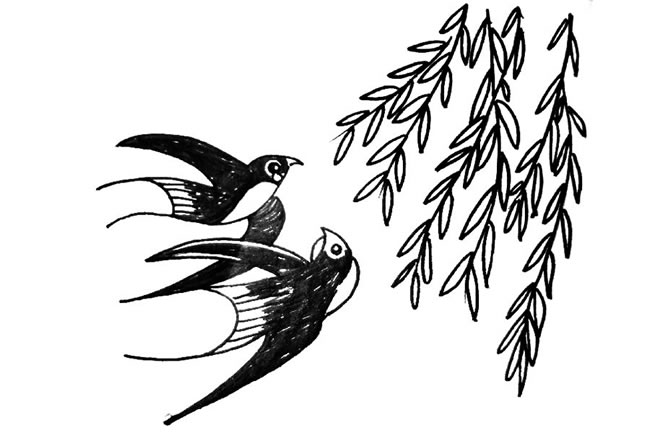 柳树下的燕子简笔画