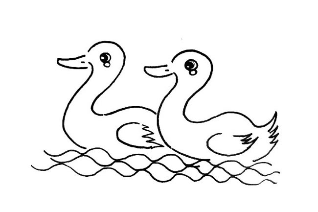 两只在水里的小鸭子简笔画