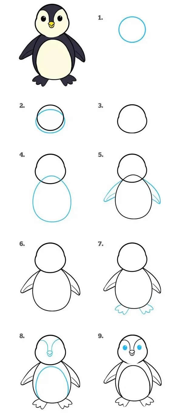 卡通企鹅简笔画详细步骤