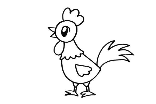 大公鸡怎么画 涂色的大公鸡简笔画