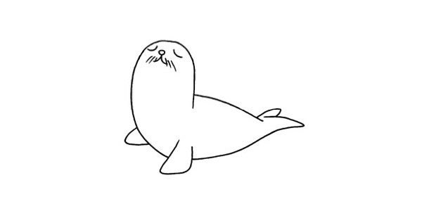 简单的海豹怎么画