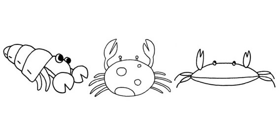 卡通的螃蟹简笔画步骤