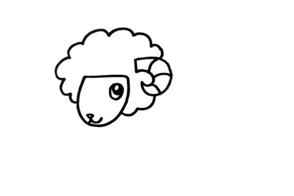 绵羊怎么画 绵羊简笔画步骤