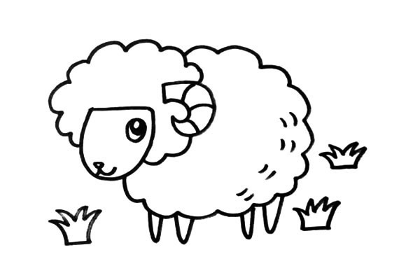 绵羊怎么画 绵羊简笔画步骤