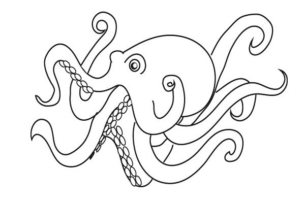 有很多触角的章鱼简笔画