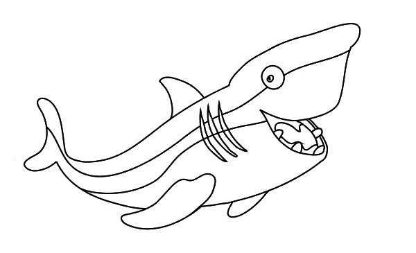 鲨鱼怎么画 卡通鲨鱼简笔画