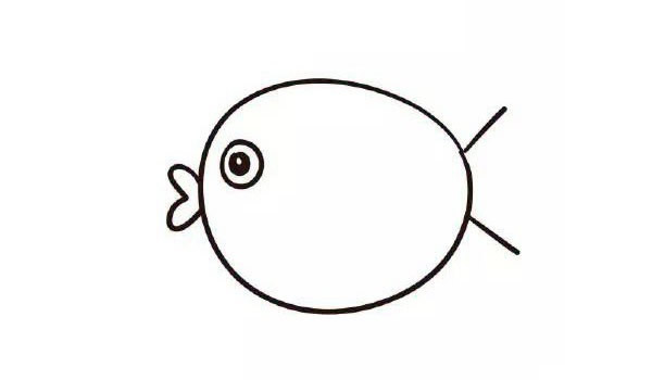 可爱的小胖鱼简笔画步骤