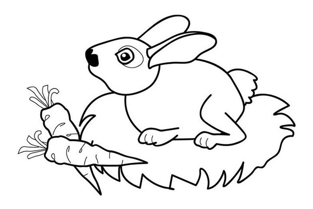 想吃胡萝卜的小兔子简笔画