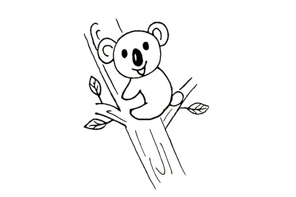 可爱的树袋熊简笔画画法步骤