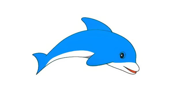 一步步教你画可爱的海豚简笔画