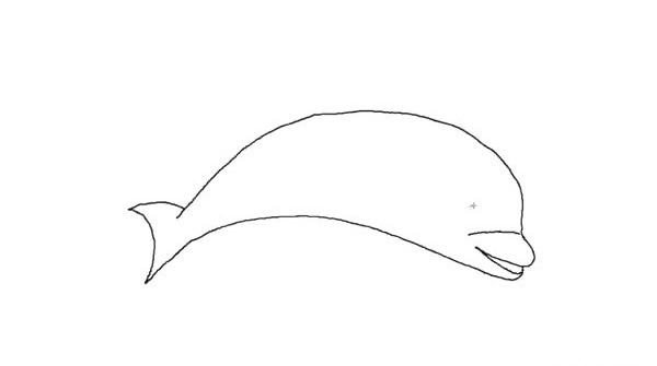 一步步教你画可爱的海豚简笔画