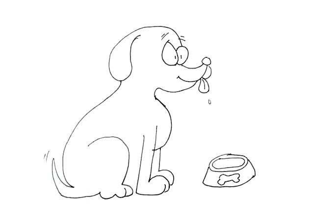 吃食的小黄狗简笔画步骤