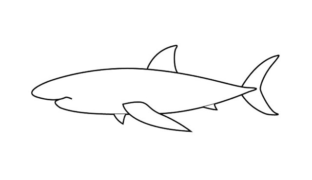 涂色的大白鲨简笔画步骤