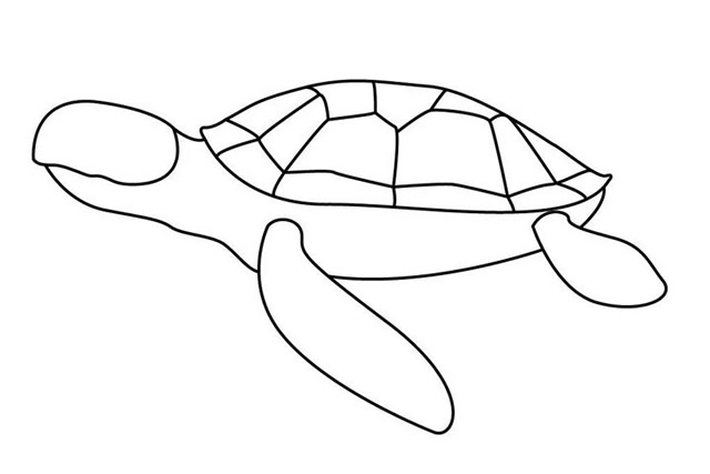 海龟怎么画 涂色的海龟简笔画步骤