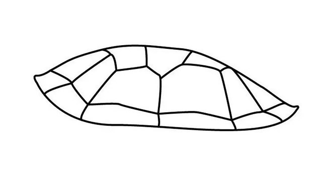 海龟怎么画 涂色的海龟简笔画步骤