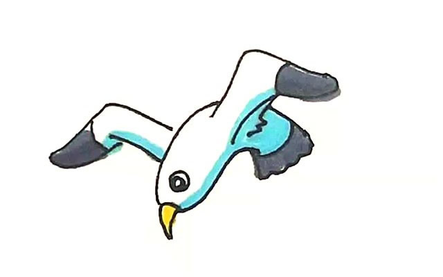 海鸥怎么画 涂色的海鸥简笔画步骤