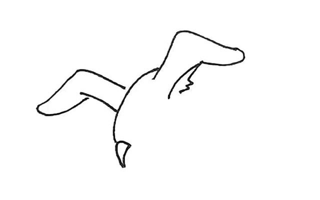 海鸥怎么画 涂色的海鸥简笔画步骤