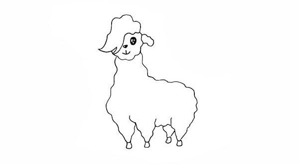 简单的羊驼画法步骤