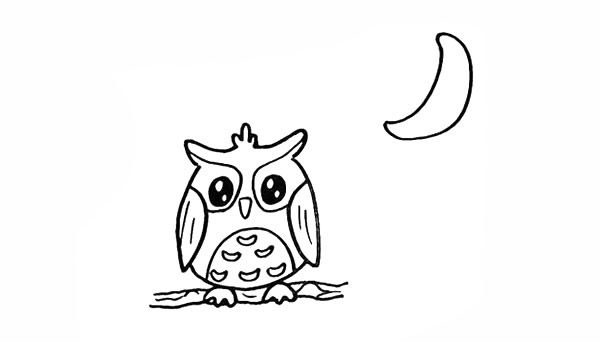 月光下的猫头鹰简笔画步骤