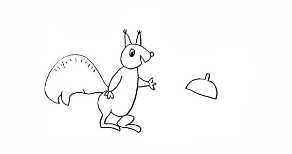 喜欢吃坚果的松鼠简笔画步骤