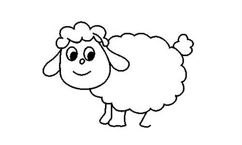 一步步教你画简单的绵羊带涂色