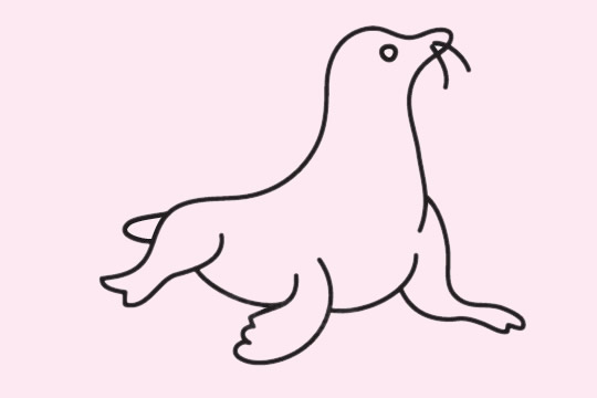 简单的海狮怎么画