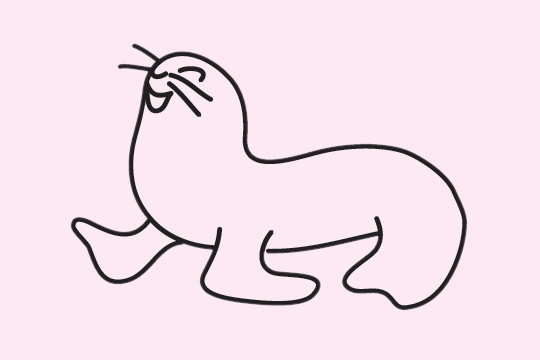 关于海狮的儿童简笔画