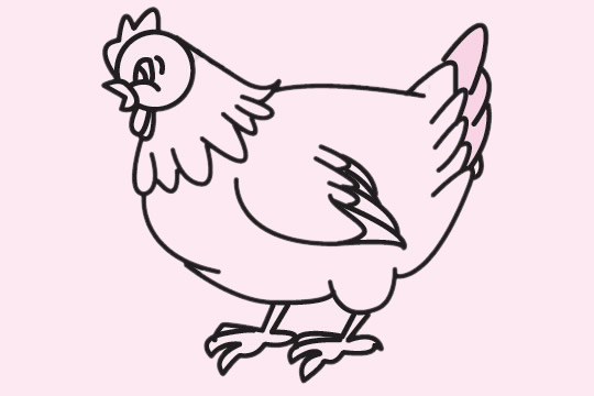 关于母鸡的儿童简笔画