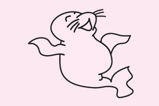 一组卡通的海豹简笔画大全