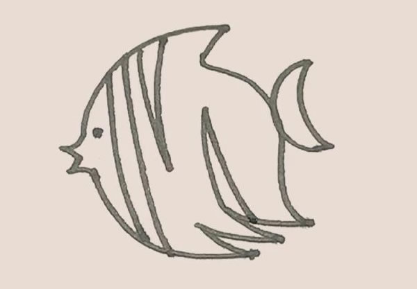 涂色的热带鱼简笔画教程