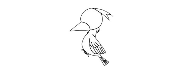 一步步教你画简单的啄木鸟