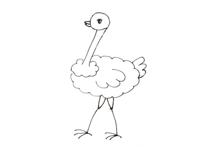 教你用数字9画可爱的鸵鸟
