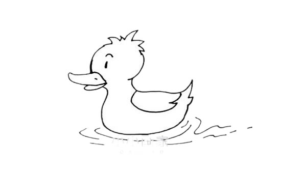 水中的小黄鸭简笔画教程