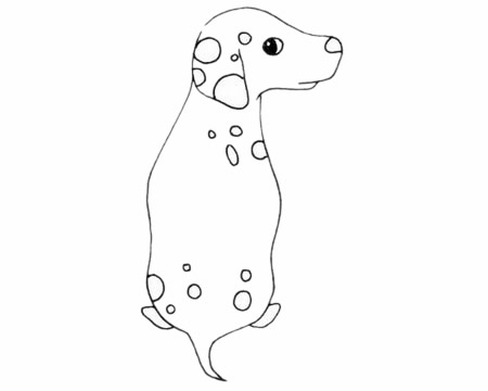 简单的斑点狗怎么画