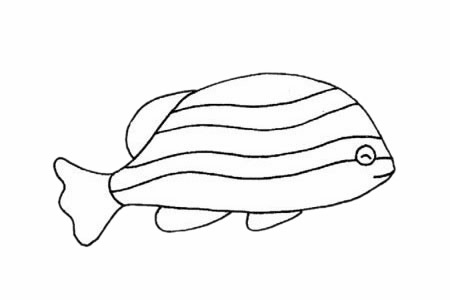 斑马鱼简笔画步骤教程